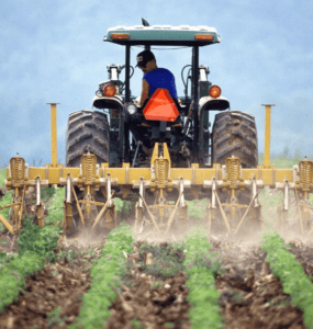 Agricultura sustenabila